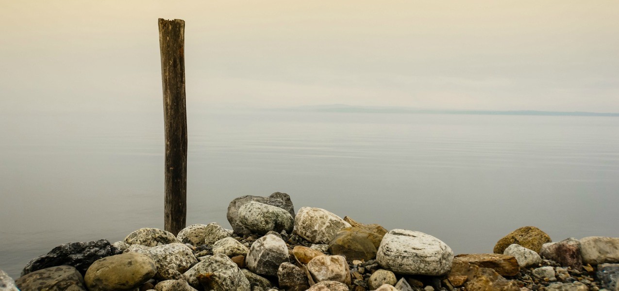 Domains for a limited time rocks